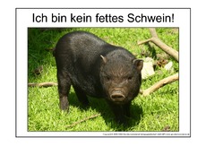 Fettes-Schwein-2.pdf